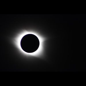 Meet your Posher, Jjulie